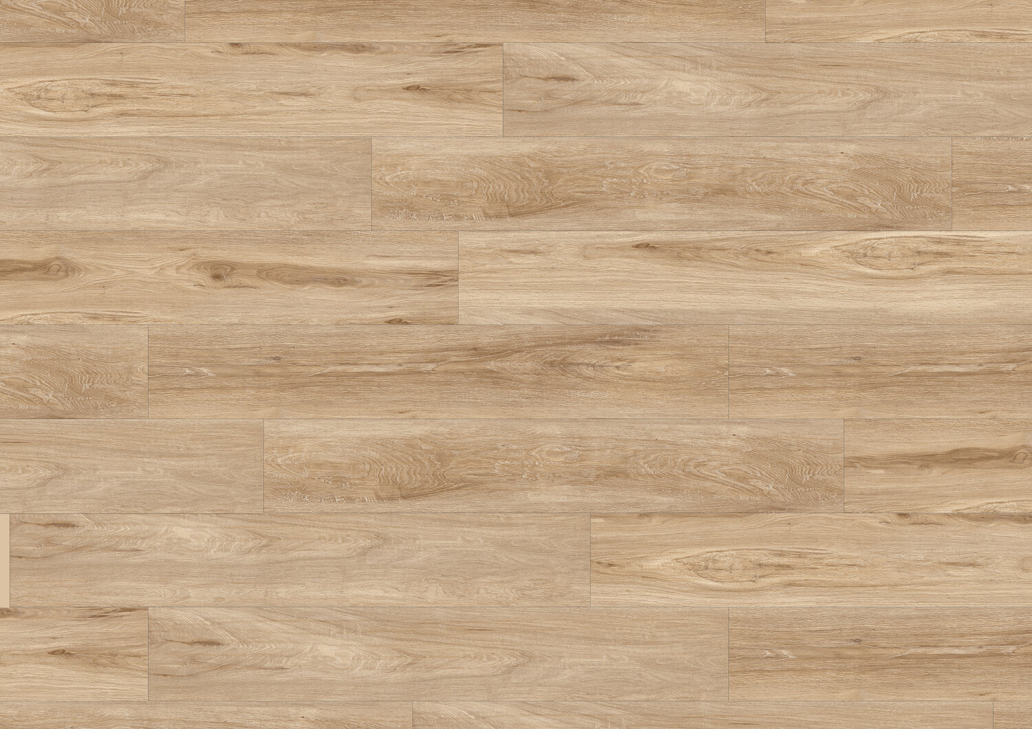 1762 ALBION BEIGE C70 MEGACLIC